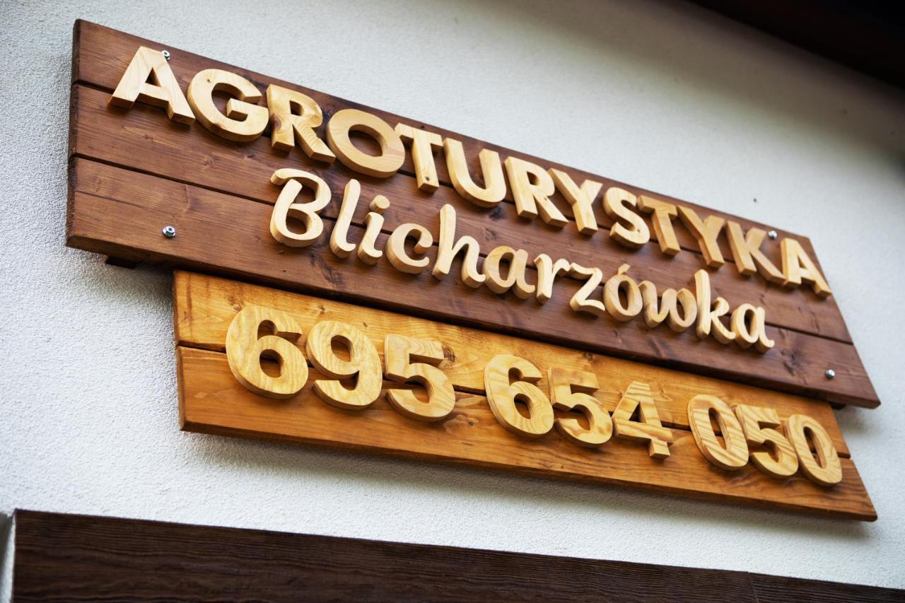 Agroturystyka Blicharzowka Noclegi Bukowka Buitenkant foto